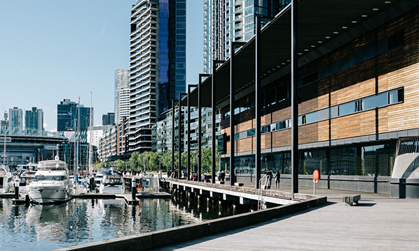 Library at The Dock Image